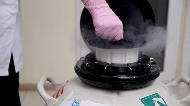 Slider image (8) Global Leader Clinic, World Center of Baby - From Hope to Home — Surrogacy for Everyone